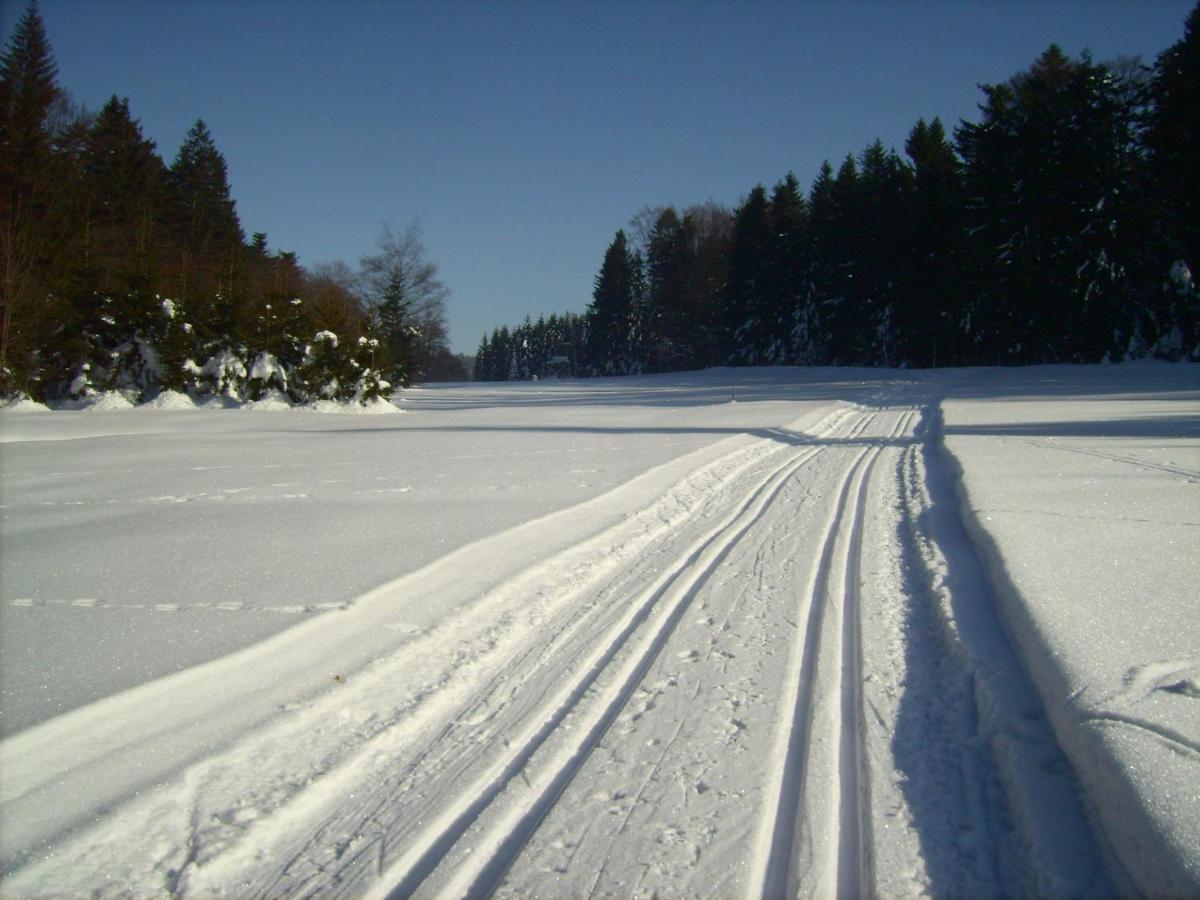 Apartamento Bayern Ferienland Sonnenwald Schöfweg Exterior foto
